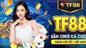 TF88 – Nhà cái với 200+ game mỗi ngày, tặng 88k cho tân thủ